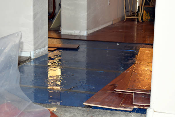 Professional Burst Pipe Cleanup technician working in Hibernia, NJ
